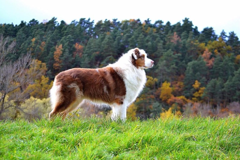 Stone of arkose Give me a smile